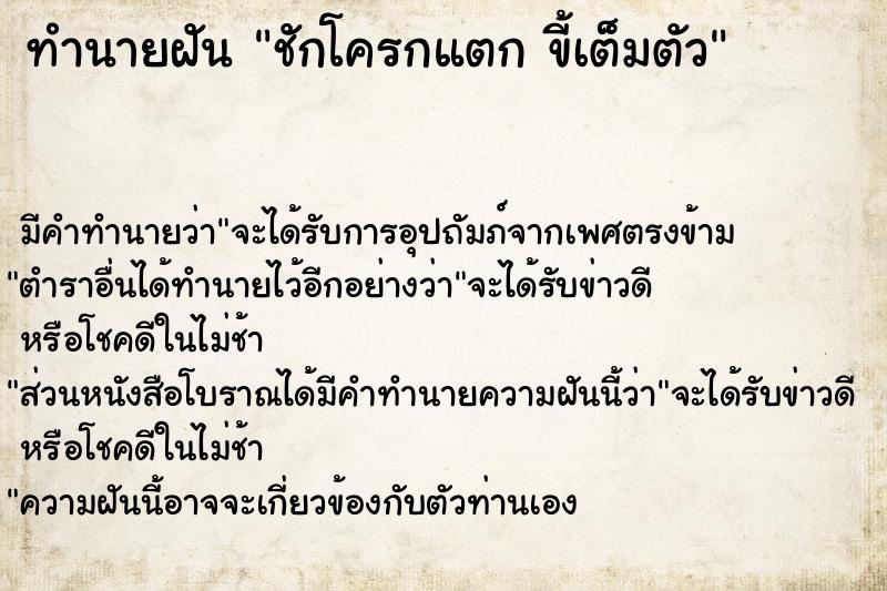 ทำนายฝันชักโครกแตกขี้เต็มตัว ทำนายฝันทำนายฝันชักโครกแตกขี้เต็มตัว